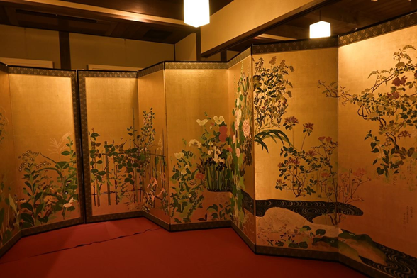 光琳百花図屏風の右隻。金地に春夏秋冬の花々を描かれている。/ 2025.07.21 八幡山保存会所から