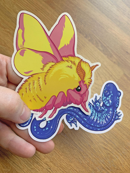 Photo of a hand holding a large sticker of a fluffy pink and yellow rosy maple moth and a blue spotted salamander
