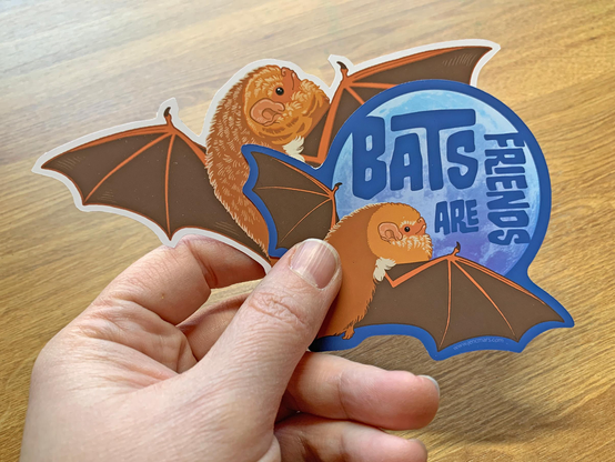 Photo of a hand holding a large sticker of an eastern red bat and a sticker of the same bat over a moon with the words Bats Are Friends in dark blue