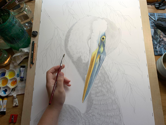 Photo of a large drawing of a great blue heron in front of willow branches partially painted. The paper is stapled to a large board, and pencils, paints, jars of water, a coffee cup and paper towels are visible to the sides. A hand holding a paintbrush is in the foreground