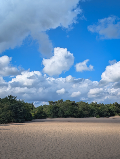 An inland dune area under a partly cloudy sky. In the foreground, there's an expanse of light sand, textured with subtle undulations and small ripples. Midground features a dense line of trees, forming a dark green horizon against the sky. These trees are a mix of deciduous and coniferous types. They create a clear boundary between the sandy area and what lies beyond.
The sky, dominating the top half of the image, is a vibrant blue, dotted with numerous white, fluffy clouds of various sizes and shapes. Some clouds are large and billowy, while others are smaller and more dispersed. 