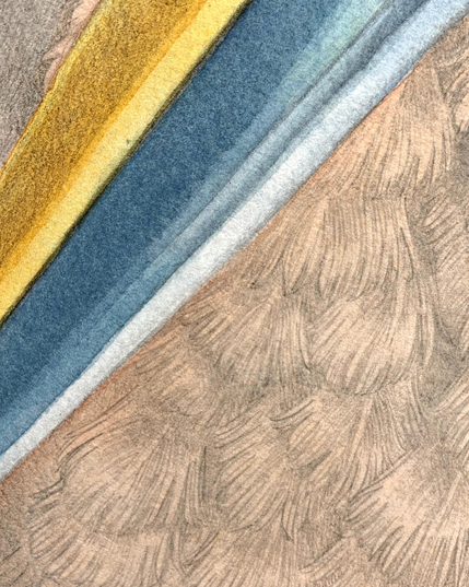 Closeup of a heron painting showing the individual feathers drawn with pencil lines and lightly painted, and a bit of yellow and slate blue beak 