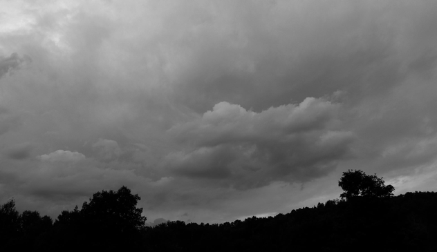 Black and white photograph of a cloudy sky and trees moving in the wind at the bottom.