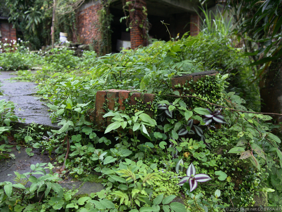 Shifen, Pingxi, New Taipei City, Taiwan.