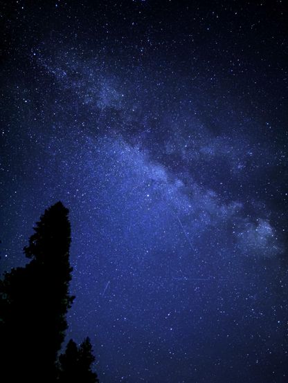 A starry night sky in blue and black tones, with the silhouettes of two pine trees in the foreground at lower left. The luminous band of the Milky Way stretches diagonally across the image. Some faint light trails from meteors or satellites can also be seen.