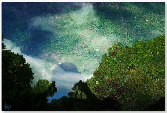 Eine Doppelbelichtung am Teich: An der Wasserkante erkennt man Rasen, der auch im Wasser durchscheint, dazu Wolken und blauer Himmel, eine Baumkrone unten links. Daneben ein Kopf, davor eine Kamera in einer Hand. Das Ganze wirkt sehr surealistisch, die Farben sind grün-blau.

A double exposure at the pond: at the edge of the water you can recognise grass, which also shines through in the water, along with clouds and blue sky, a treetop at the bottom left. Next to it is a head, in front of it a camera in one hand. The whole thing looks very surealistic, the colours are green and blue.