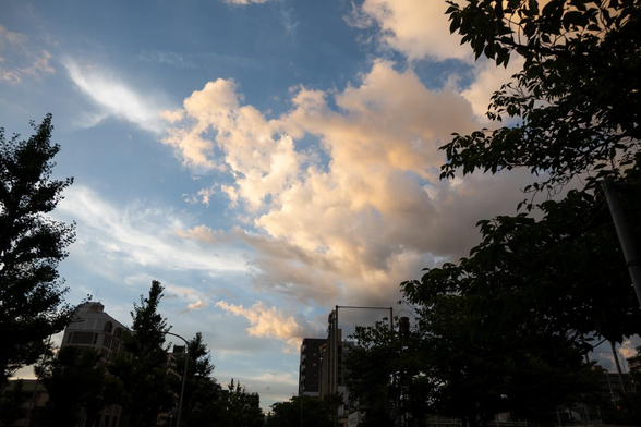 昨日(7月27日)の散歩で、堀川高校あたりにたどり着いた頃合いの夕暮れの様子。雲が少し赤みを帯びている。/ 2025.07.27 堀川通錦小路角から