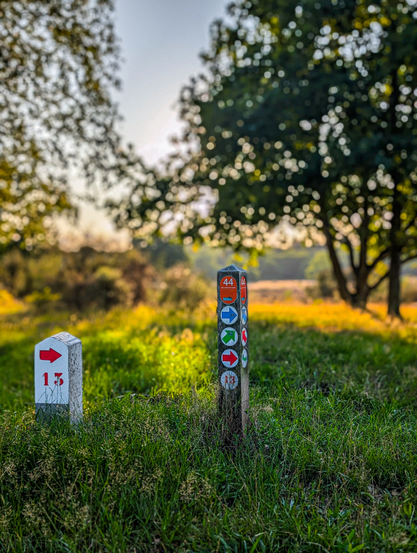 An outdoor shot of two marker posts standing in tall green grass, set against a softly blurred natural background of trees and foliage. The post on the left is shorter, made out of concrete, white, with a red arrow pointing right and the number "13" in white, all enclosed within a red boundary. The post on the right is taller, darker, and is made of wood. It features multiple colorful circular markers, each with an arrow indicating a direction. 

The foreground grass is detailed and vibrant green. The background is a mix of greens and browns from trees and bushes, with soft, golden light filtering through, creating a pleasant bokeh effect. 
