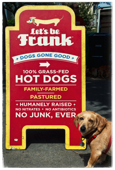 A golden haired doggo stands in front of a signboard for a street vendor, then turns back and gives me a pathetic look. 

On the signboard? The hot dog vendor's name: Let's be Frank. And a picture of a wiener dog... with the words 100% grass-fed hot dogs, family farmed, pasteurized, she mainly raised...