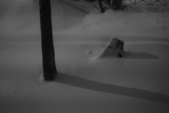 stump completely covered with snow