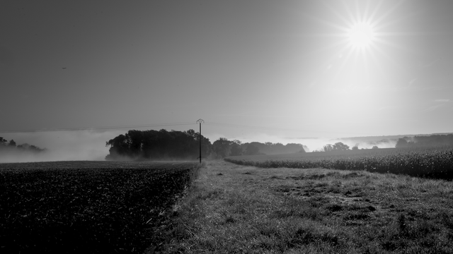 Monochrome daylight photography.
Sun rise above misty fields and forest.