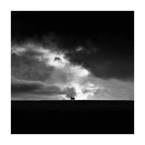 A square-format black and white photograph. A single sheep stands in perfect silhouette at the center of the horizon line. The foreground is dark and featureless, forming a solid base. Above, dramatic clouds dominate the sky, with strong contrasts between bright light and deep shadow.

“Hurz” is not an actual German word. Although by now, it might very well be listed in the dictionary. It definitely has a Wikipedia entry, unfortunately only in German. Most likely, only Germans of a certain age will get the reference anyway.

It's from a prank by a comedian in the early 1990s, in which he impersonates an opera singer and performs in front of a serious audience - singing nothing but nonsensical lyrics.