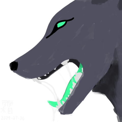 A close-up side headshot of me, a feral wolf with teal eyes and tongue! My maw is open, showing off, and there's maybe a bit too much drool. It's a mostly flat style with very little shading (because I don't know how to do shading yet).