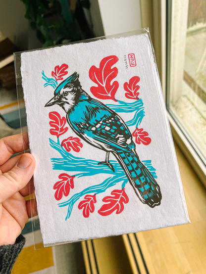 3 color linocut print of a bluejay perched on a branch with leaves. Print colors are red, blue, and dark brown.
