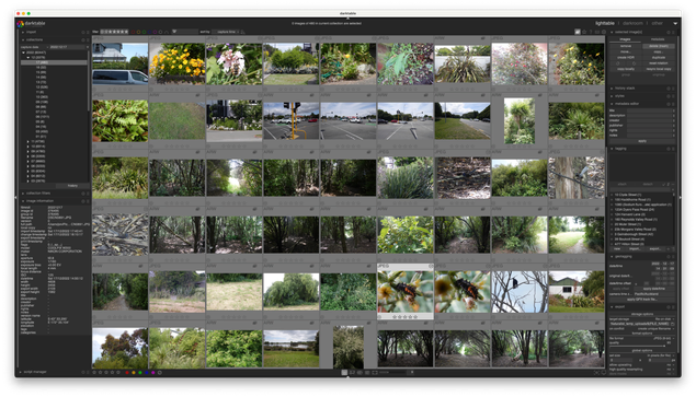 A screenshot from darktable showing some of the 480 photos I took on my afternoon biodiversity run today. Most are species observations (birds, flowers, insects, etc.), mixed with a set of photopoints.