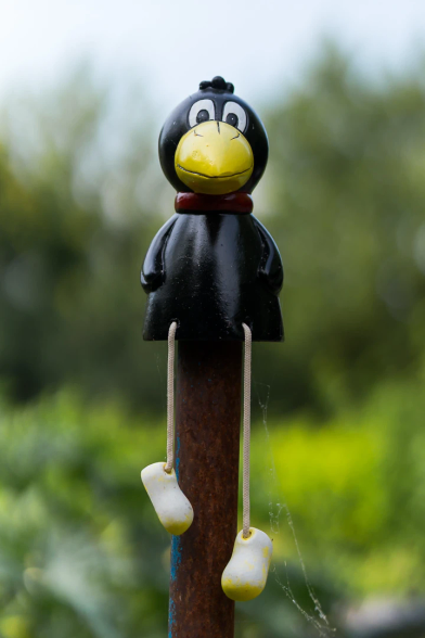 Metallrohr Als Zaunpfosten. Oben auf sitzt ein offiziell Rabe genannter, der eher an einen Uli Stein Pinguin erinnert. 
Hochformat, Hintergrund unscharf.