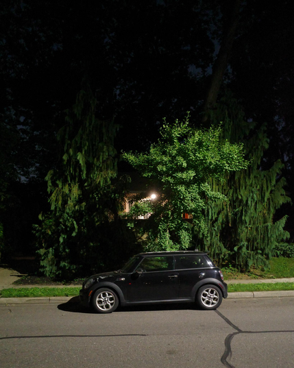 Color photograph looking across a well-lit street at night where a black mini cooper is parked in front of a yard with with thick growth of trees and bushes catching the edge of the streetlight. Through the plants you can see some of a porch lit up by a porchlight, but mostly everything behind the light is dark in shadow and nighttime