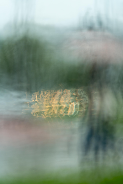 Photo of a rain drenched window, abstract focus revealing patterns generated by light and flowing water