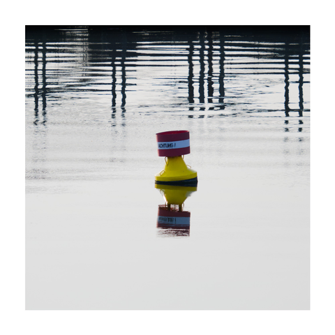 A square color photograph showing a yellow buoy floating on calm water. The top of the buoy is red and white, with the word “ACHTUNG!” (German for “CAUTION!”) written on it in black letters. The buoy and its text are clearly reflected in the still surface of the water. In the background, a pattern of dark vertical lines adds contrast to the pale surroundings.

Practice... yeah, that sounds like a motivational pep talk aimed at tricking myself into getting out and taking photos.
Hmm, not quite working yet.
Lazy mutt!