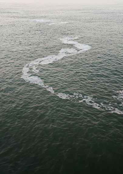 A view of calm sea water with small waves and a white foam patterns in a curved line. The water extends to the horizon under am overcast sky. 
