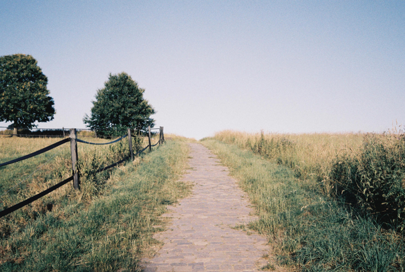 An analog color photo of a narrow cobblestone path leading uphill through grassy summer fields. On the left, a fence made of wooden posts and black rubber bands sags gently along the slope. Two large trees stand near the crest under a pale, cloudless summer sky. (Photo by me, CC-BY-4.0, Zeiss Biogon 35mm f/2.8 (1954), KONO! Color 400 @ ISO 200). - Had this motif before, I like this place.