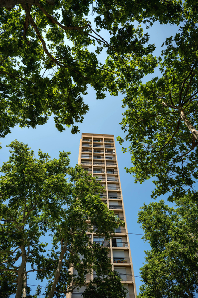 Ein alleinstehendes, schmales, Hochhaus bildlich gerahmt von Baumkronen. Die Vorderfront besteht aus jeweils drei Fensterelementen und mindestens 18 Stockwerken. 