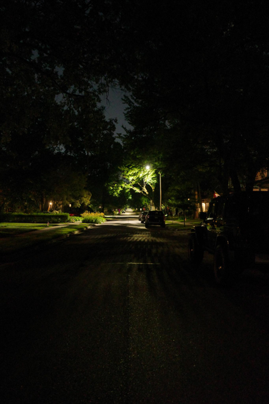 Color photograph looking down a straight residential street at night. The foreground is dark, standing under trees that block out the sky, and down a ways a streetlight shines brightly over the street and on the underside of some branches, spots of light like that as far down the road as you can see