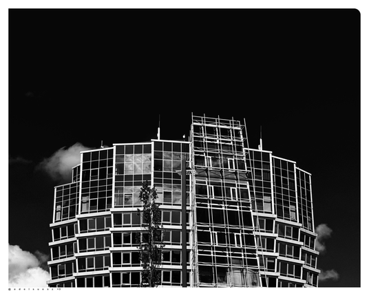 Schwarzweißfotografie: hoher, fensterreicher Anbau des Krankenhauses, fotografiert sind die oberen Stockwerke von mindestens 10 Etagen, helle Streben und Rahmen, dunkle Fenster, dunkler kontrastreicher Himmel mit ein paar weißen Wolken, im Vordergrund ein dünner Baum
