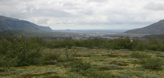 Photograph of a black sand river delta, going through an opening in the landscape between mountains, towards blue sea far away in the distance, under a cloudy sky. In the bottom half of the picture, green bushes, moss and lichen are covering a rocky ground.