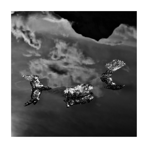 Black and white square image showing three small, irregularly shaped pieces of ice floating on calm water. Each piece of ice has a clear reflection beneath it, creating symmetrical shapes. The water surface displays slight ripples radiating outward from the ice fragments. The background shows blurred, softly reflected clouds and the dark silhouette of a mountain at the top edge of the image.

The parents and older siblings were nearby too, but these three little ones were simply too adorable.