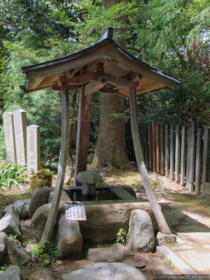 The spring pool in Maouden, Kurama-dera, Kyoto, Japan.