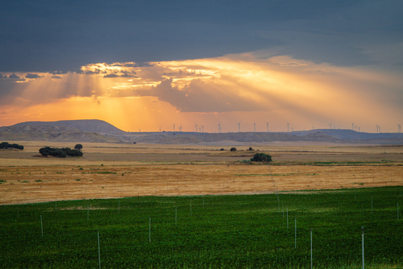 Rural landscape at sunset with green and golden fields in the foreground. In the background, hills with wind turbines and sun rays breaking through clouds, creating a dramatic sky effect.