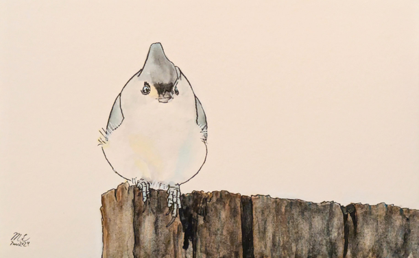 A painting of a tufted titmouse sitting on a rectangular post. The bird is looking directly towards the viewer. The background is left blank.