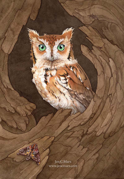 Painting of a red morph screech owl peering out of a tree cavity. The tree cavity is framed by swirling stylized bark, with a sphinx moth in the left foreground and a spider and beetle hidden in the upper right. The owl itself has orange-brown feathers with a white face and chest, and bright green eyes.