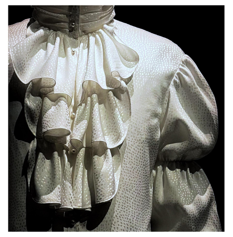 Prince’s elaborate white polyester shirt against a black backdrop, on display at the Metropolitan Museum of Art. Closeup on the torso and left sleeve (viewer’s right), speckled with see-through dots. Prominently featured is a fall of layered ruffles (a.k.a. a jabot) hanging from a high collar with pearl buttons. The sleeve (along with the unseen one) is puffed and gathered in sections in a 19th-century style. The lighting emphasizes the dotted texture of the embroidered fabric and the play of light and shadow on the sleeve and ruffles.

From the text on the museum placard:

Marie France (French, b. 1945)
Louis & Vaughn (American, founded 1981)
Louis Wells (American, 1957-2018)
Vaughn Terry Jelks (American, b. 1950)
Shirt worn by Prince, ca. 1984
White dotted polyester jacquard