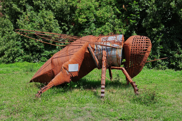 A close-up of a large, rusty brown sculpture of a bee, positioned on a patch of green grass. The sculpture is made of woven, corroded metal strips, giving it a weathered and rustic appearance. Its body is composed of several sections, including a large, dome-like head with a crosshatch pattern and long antennae. The insect's wings are delicate and made from thin wires, while its powerful hind legs are textured with metal plates. Behind the sculpture is a dense wall of green foliage, providing a natural backdrop under a bright sky.