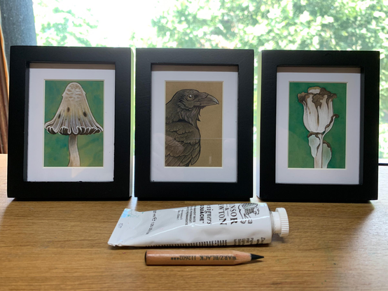 Photo of three small illustrations in black frames with a tube of white gouache and a very short black pencil. The left most picture is an ink cap mushroom on a green background, the middle a portrait of a raven on a brown background, and the right most a white ghost pipe flower also on a green background. 