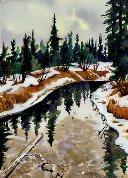 A watercolour painting of a white spruce forest with a shallow creek reflecting the spruce trees and sky above.