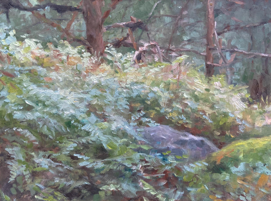 Pleinair Oilpainting depicting a forest scene. There are a lot of ferns on the ground, a stone and a couple trees in the background.

18x24 painted in about 6.5 hours and