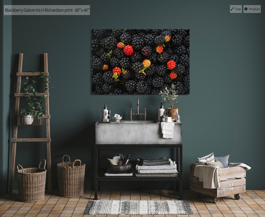 Blackberry macro, most blackberries are ripe but a few are red ones I wanted to create some contrast and excitement in this artwork. this one would be a wonderful decor for the gardener, chef, and lover of all things in nature. Artist Iris Richardson, Gallery Pictorem