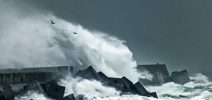 Seagulls love these waves. They probably catch a fish or two as they crash.
