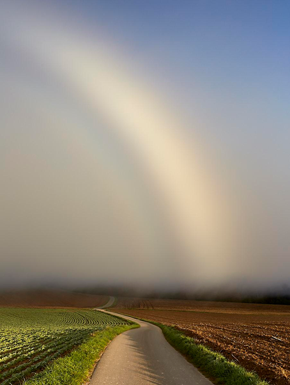 A pale, ghostly fogbow arcs low across mist‑shrouded fields, its faint light melting into the earth. A narrow country road winds from the foreground toward the spectral arch, drawing the eye into the soft silence of the morning haze.