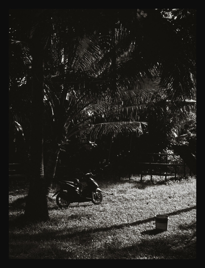 Ditto, but in portrait, focusing on the motorcycle standing near the tree instead.