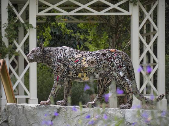 A sculpture of a mountain lion made of recycled metal in front of a white wooden scaffold and behind out of focus purple flowers