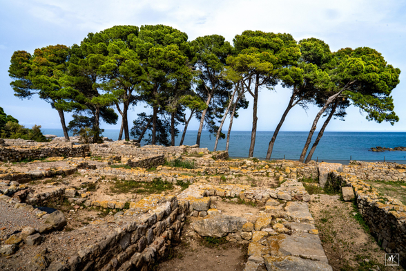 Color photo of the low, ruined walls of an Ancient Greek town with a group of trees behind them and the Mediterranean Sea in the background. 