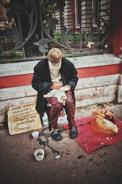 A low-angle, vertical shot captures a person with a cap and a black jacket sitting on a bucket on the sidewalk next to a red and black fence. The person is focused on writing on a notepad. A white cat is on the person's lap. A brown dog is sleeping on a red mat to the person's right. In front of the person, there's a handwritten cardboard sign with a plea in Cyrillic, several plastic cups, and a bottle.
The handwritten cardboard sign in Russian says:
"Люди добрые! Помогите пожалуйста на содержание приюта для животных. Спасибо."
Translated to English, this means:
"Good people! Please help with the upkeep of the animal shelter. Thank you."