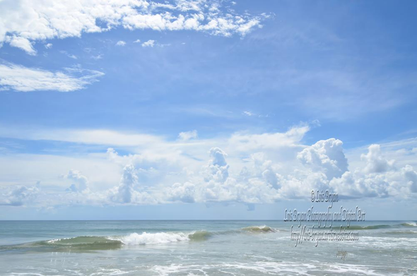 "A Soft Hazy Day At The Beach" ... a sunny day at Corolla, Outer Banks, North Carolina.  

At my website:  https://lois-bryan.pixels.com/featured/a-soft-hazy-day-at-the-beach-lois-bryan.html 

And at #FineArtAmerica:  https://fineartamerica.com/featured/a-soft-hazy-day-at-the-beach-lois-bryan.html 

#OBX #OuterBanks #Corolla #NC #NorthCarolina #photography #summer #ocean #art #giftideas #LoisBryan