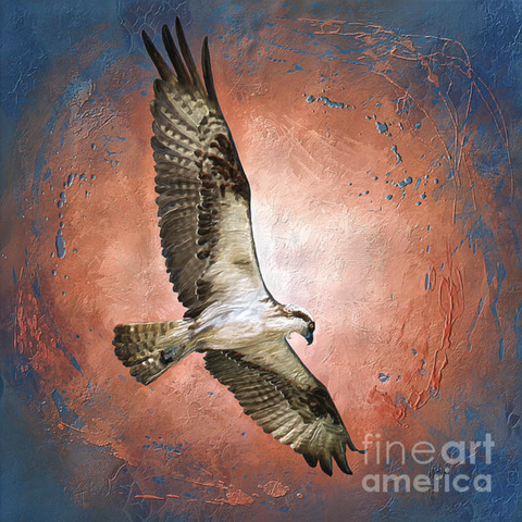 An Osprey In The Sun ... a magnificent adult osprey, wings spread to take advantage of strong sea breezes, passes in front of the sun on a summer dawn. As he sails above the Atlantic Ocean, his sharp golden eyes scan the waves below him ... on the watch for breakfast for his family.

This image was hand-painted in Corel Painter with thick-paint technology and is very loosely based on one of my own, original photographic images ... not from stock ... captured off the beach at the Outer Banks, NC, summer 2021.

Fine art and product purchases of this image will not include a watermark, and if I may make a recommendation ... wall art of this image will look its very best on the fine art paper choice of "picture rag."

Not created using Artificial Intelligence / AI.

At my website:  https://lois-bryan.pixels.com/featured/osprey-in-the-sun-lois-bryan.html

#art #giftideas #nature #osprey #digitallyhandpainted #CorelPainter #NotAi #LoisBryan #wildlife #birds 

