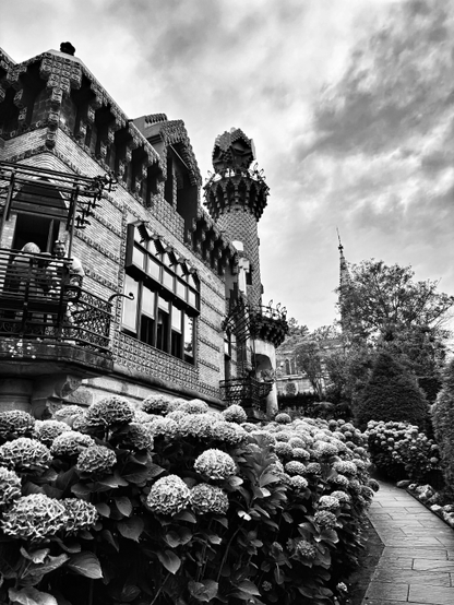 Una fotografía en blanco y negro de un paisaje exterior, dominado por un edificio antiguo y un jardín exuberante bajo un cielo nublado.

El edificio, situado a la izquierda, es de estilo modernista, con fachadas de ladrillo o piedra adornadas con intrincados patrones de azulejos. Destaca un balcón con barandilla de hierro forjado donde se ven dos personas, una sonriendo. A la derecha del edificio, una torre cilíndrica con una cúpula o capitel muy decorado se eleva hacia el cielo. El tejado presenta almenas y formas geométricas ornamentadas.

En primer plano, el suelo está cubierto por una profusión de hortensias con grandes racimos de flores densas. A la derecha de las flores, un sendero de piedra serpentea y se pierde en la distancia. Al fondo, se aprecian árboles frondosos y la aguja de un edificio más distante, añadiendo profundidad a la escena.

La imagen, en escala de grises, resalta las texturas y los contrastes dramáticos del día nublado.
