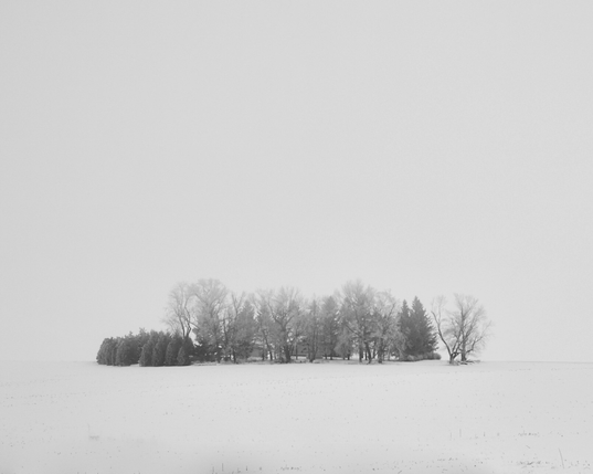 picture of house surrounded by trees in a snow-covered field